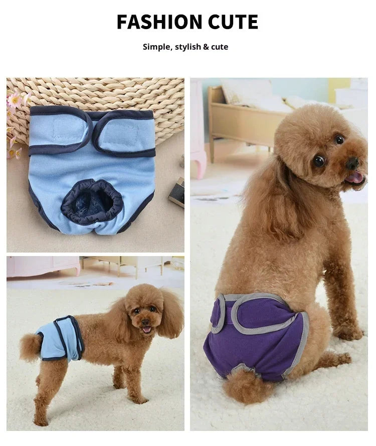 A fluffy brown dog wearing purple reusable diapers with blue trim, shown in various angles.