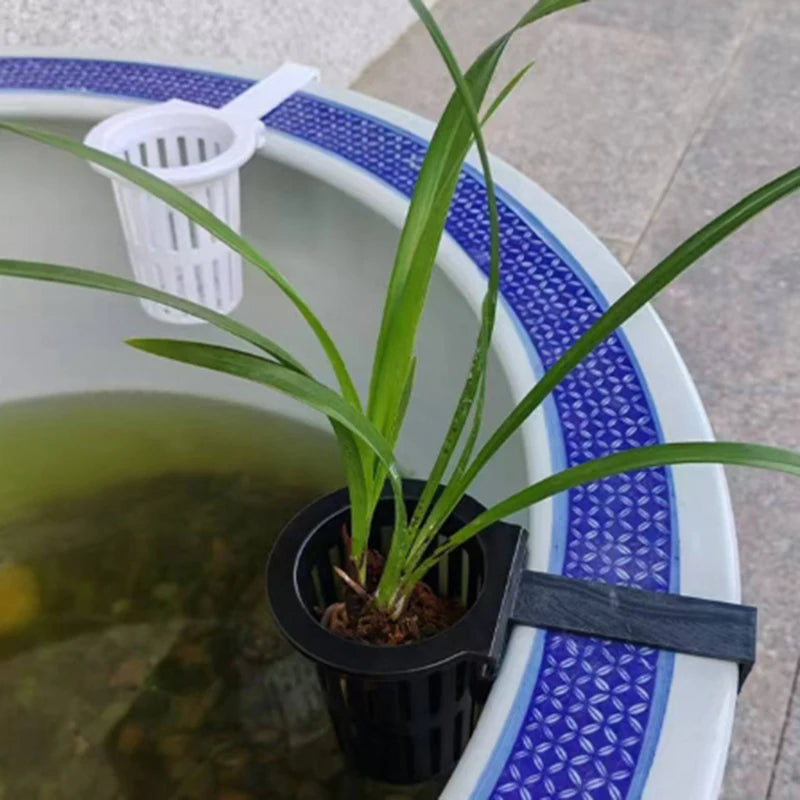 A wall-mounted hydroponic plant basket growing a green plant in water inside a ceramic bowl.