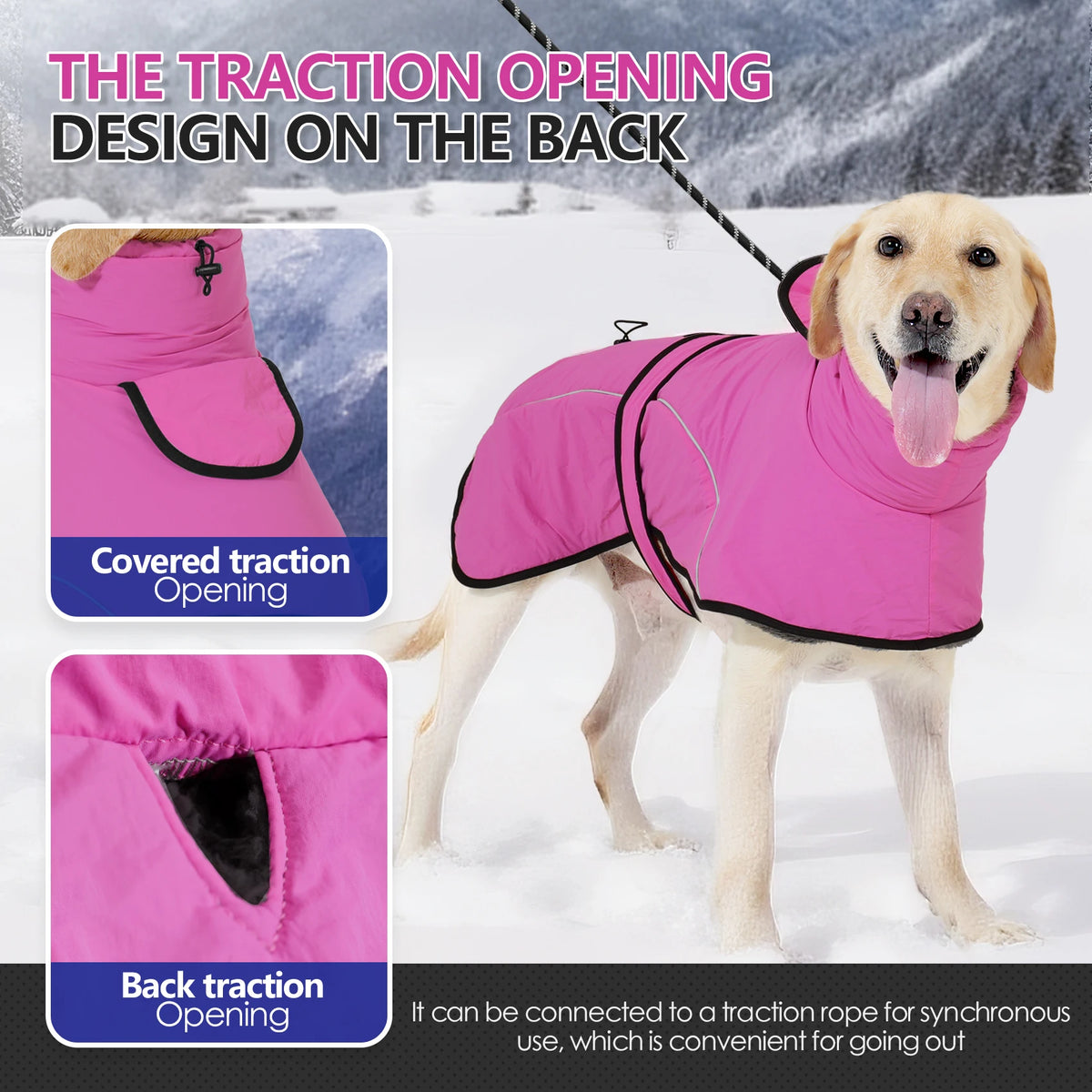 Pinkes Hundefleece-Wintermantel mit Reißverschlussdesign bei einem Golden Retriever.