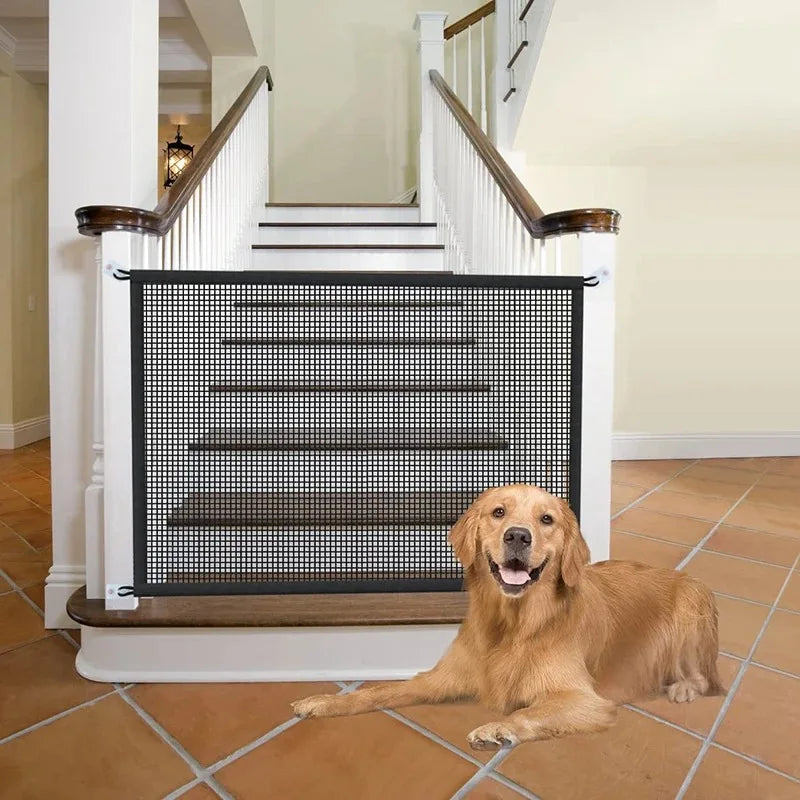 Un golden retriever est allongé devant un escalier en bois blanc avec une grille de sécurité noire.