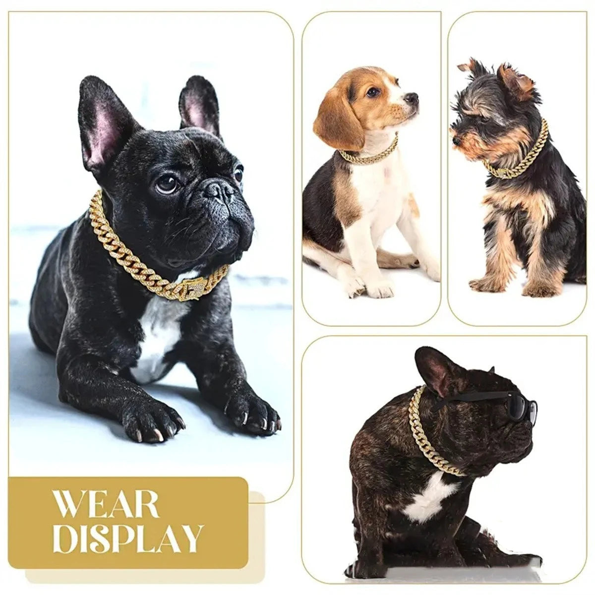 A display of a diamond Cuban chain pet collar for dogs and cats shown on various breeds.