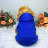 A bright blue hoodie with a golden fluffy hood is displayed against a white background surrounded by autumn-colored flowers.
