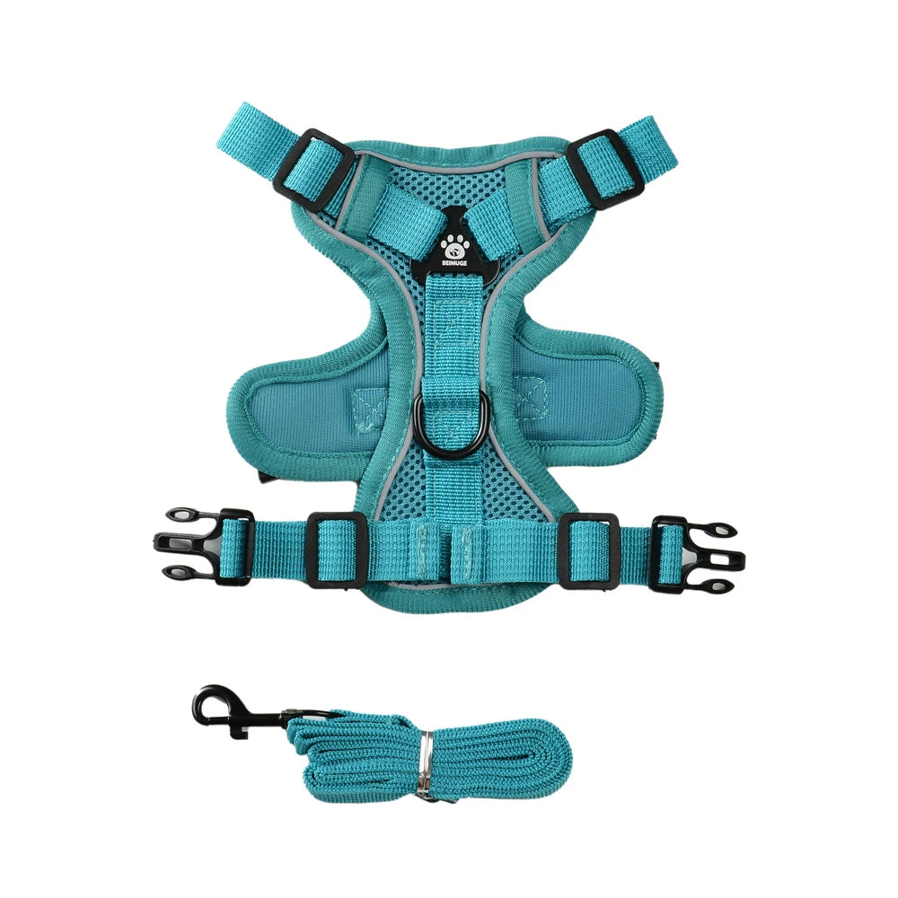 A teal reflective adjustable dog and cat harness with a leash attached.