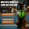 A brown dog wearing a glowing green LED harness, demonstrating multiple modes and long battery life.
