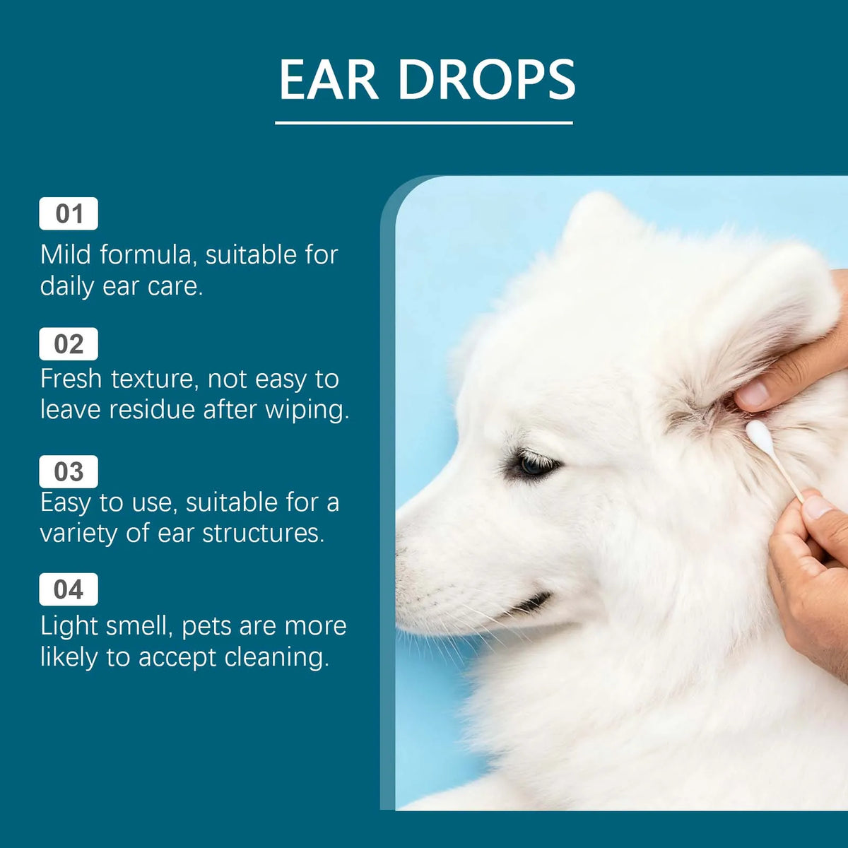 A white dog's ear is being cleaned with drops, illustrating features of pet ear cleaning products.