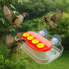 A hummingbird feeder with a transparent reservoir and suction cups, featuring a small bird in flight.
