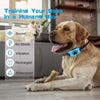 A golden retriever wearing a blue dog bark collar sits on a floor with various features listed nearby.