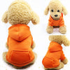 A fluffy golden dog wearing an orange hooded sweatshirt.