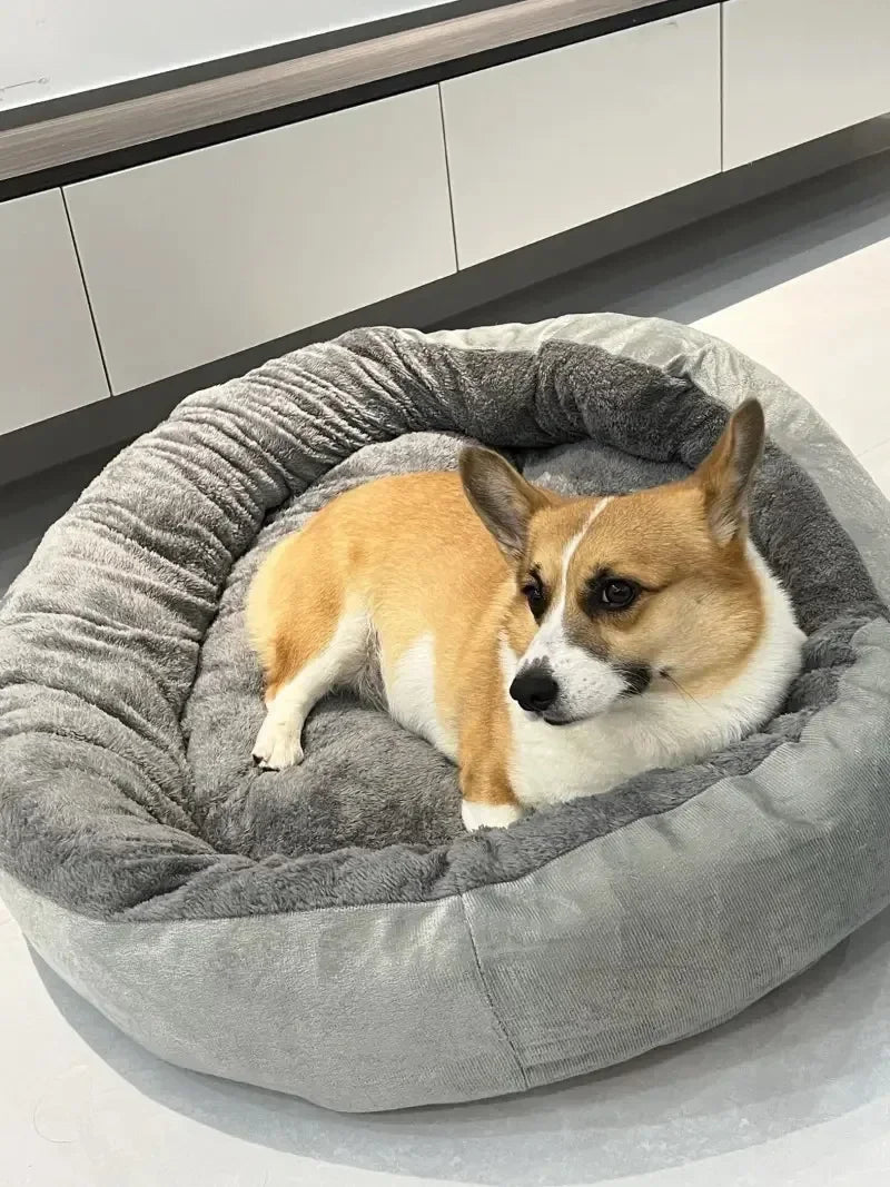 Ein hellbraunes und weißes Shiba Inu-Hund ruht in einem grauen, flauschigen Hundebett.
