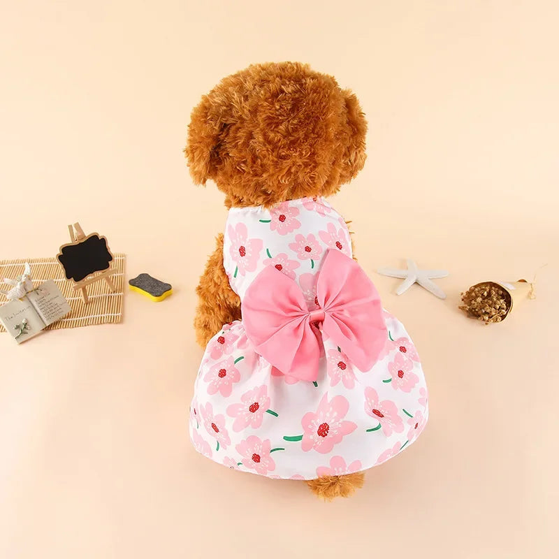 A fluffy brown dog wearing a pink floral bow dress with white trim, lying on a light background.
