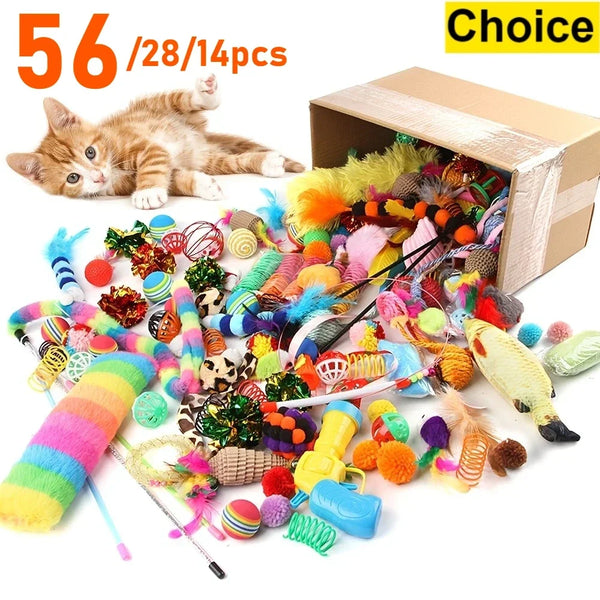 A box of mixed cat play toys, including feathers, yarn, and various small accessories, next to a kitten.