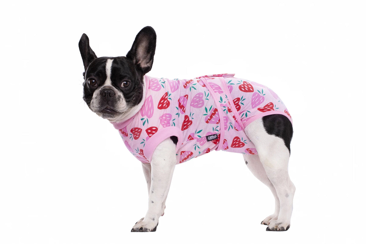 A black and white dog wearing a pink patterned recovery suit for dogs.
