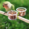 A small green bird is perched near a clear plastic feeder cup filled with seeds, attached to a wooden mounting bracket.