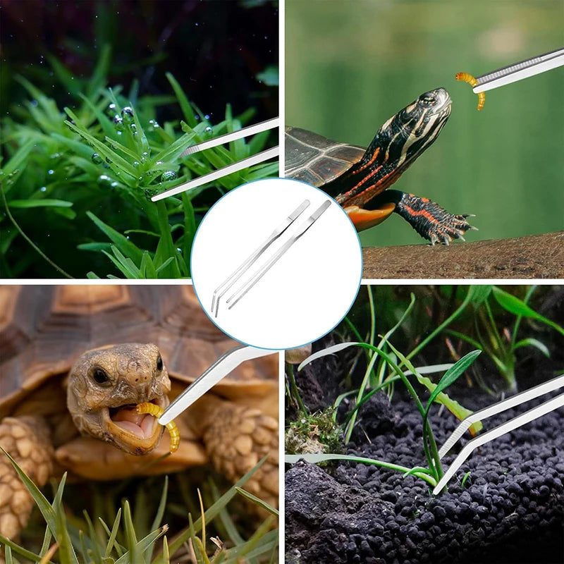 Stainless steel aquarium tweezers set used to handle small animals like frogs and insects.