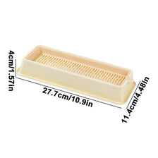 A rectangular, light-colored layered cat grass growing tray with measurements provided.