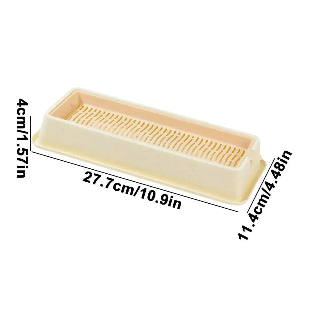 A rectangular, light-colored layered cat grass growing tray with measurements provided.