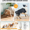 A comparison showing a senior dog and a puppy, alongside anti-slip traction socks for dogs.