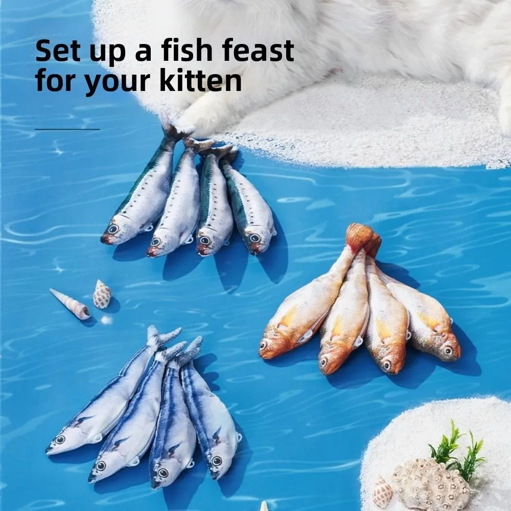 Fish feast for a kitten featuring various types of fish laid out on a blue surface.
