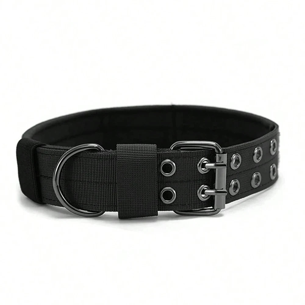 Black tactical nylon dog collar with a metal buckle for medium and large breeds