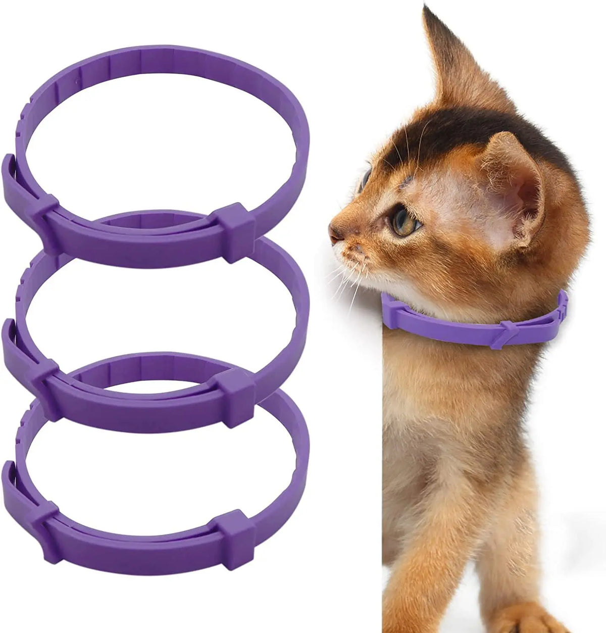 Purple natural pet calming collar for anxiety relief shown next to a small tabby kitten
