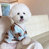 Un perro blanco vistiendo un suéter azul claro con estampado de oso marrón, sentado en un sofá blanco.