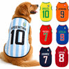A golden retriever wearing a sports team vest featuring the number 10 in blue and white stripes.
