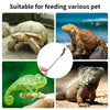 Edelstahl-Futterzangen zum Füttern verschiedener Haustiere wie Schildkröten und Leguane.