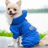 Un petit chien de couleur claire portant un imperméable bleu vif à l'extérieur.