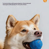 A light brown dog is holding a blue textured chew ball in its mouth.