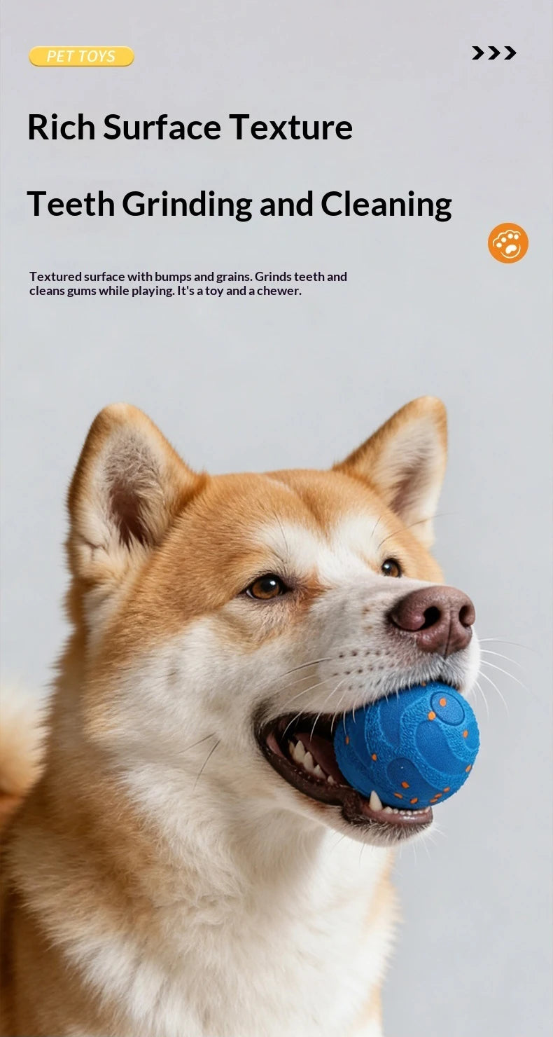 A light brown dog is holding a blue textured chew ball in its mouth.