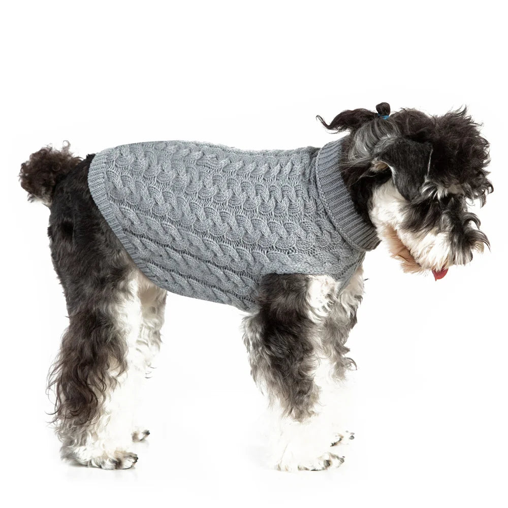 Un petit chien duveteux portant un pull tricoté gris.