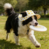 A black and white dog wearing a yellow duck print pet cap outdoors.