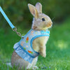 A light brown rabbit wearing a blue mesh harness and attached to a leash, sitting in green grass.