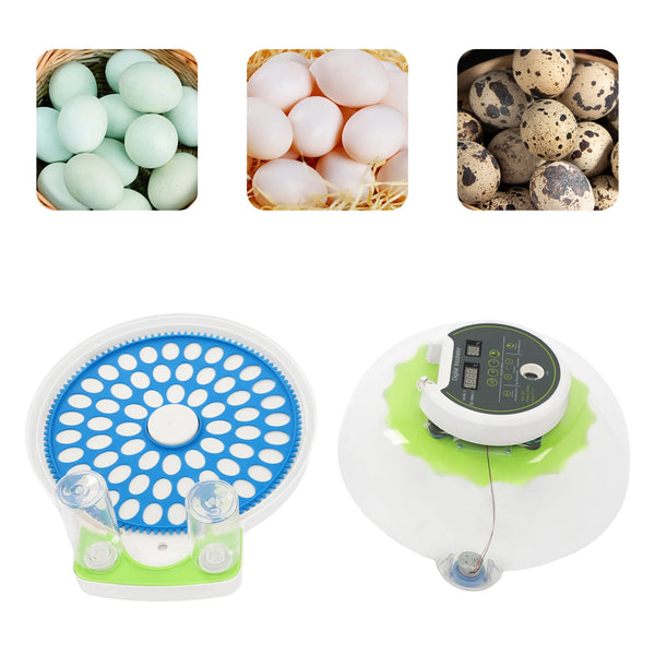 A set of bird eggs and a white automatic incubator with a blue grid and a green light.