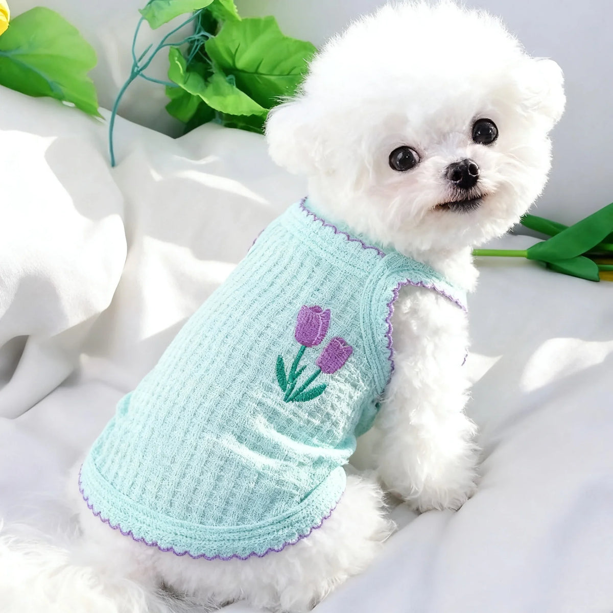Un perro blanco esponjoso vistiendo un collar de mascota de punto azul claro con bordado de flor morada.