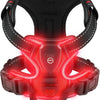 A red LED glowing dog harness designed for night walking.