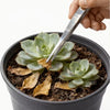 A hand uses a precision stainless steel tweezers to handle a succulent plant in a pot.