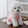 A fluffy white dog wearing a pink and white striped ruffled knit dress sitting on a wooden surface.