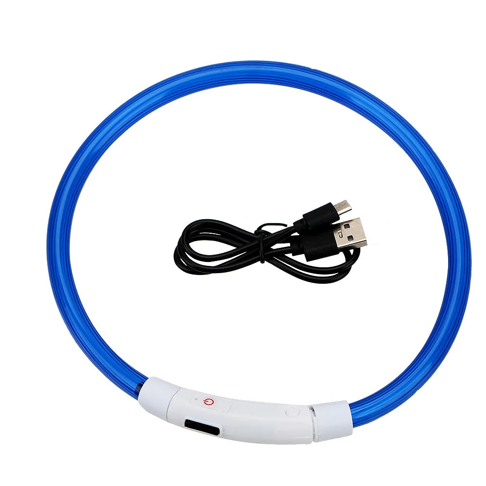A blue LED dog collar with a white charging module and USB connector cable.
