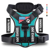 A black and teal harness for a service dog, featuring an American flag patch and adjustable fit.