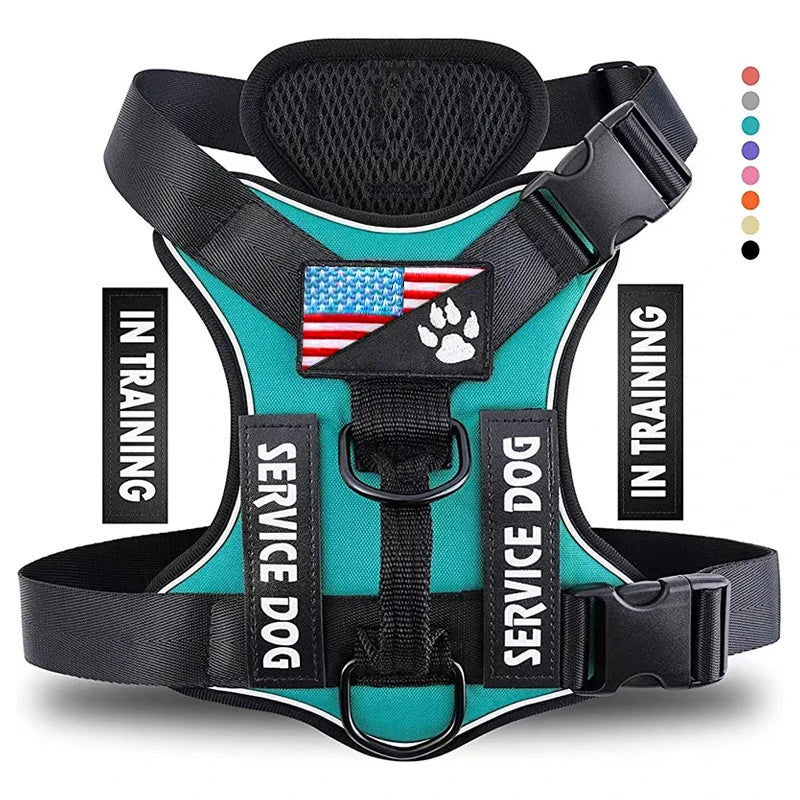 A black and teal harness for a service dog, featuring an American flag patch and adjustable fit.