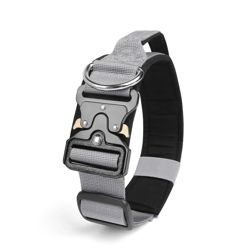 A gray and black tactical dog collar with a silver buckle and padded strap.