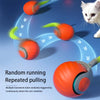 An orange electric cat ball toy is shown in motion, attracting a white cat's attention.