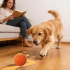 A golden retriever runs across a wooden floor toward an orange ball, with a woman reading nearby.