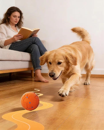 A golden retriever runs across a wooden floor toward an orange ball, with a woman reading nearby.