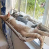 A tabby cat is relaxing in a window hammock bed with another cat sleeping on top, viewed from the side.