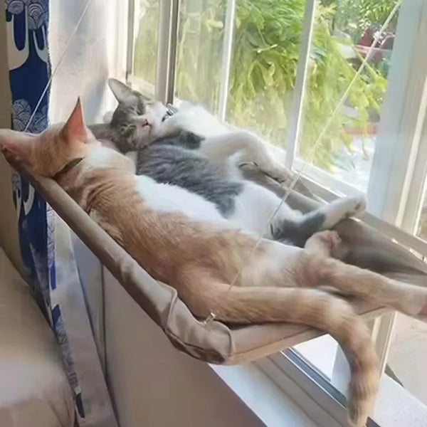 A tabby cat is relaxing in a window hammock bed with another cat sleeping on top, viewed from the side.