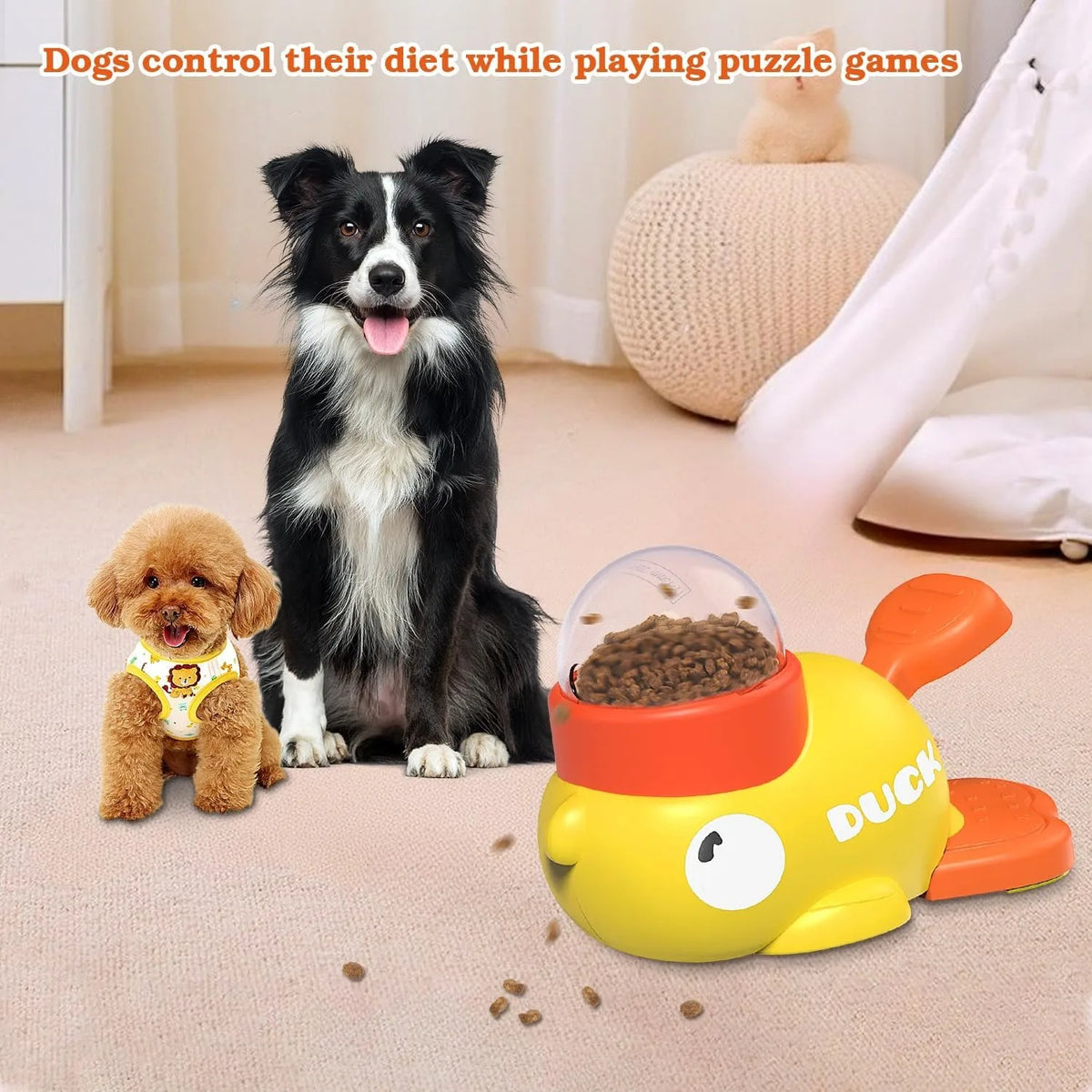 A black and white dog sits next to a small golden puppy, with an orange interactive treat dispenser for dogs in the foregroun