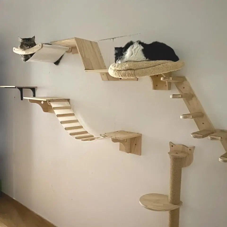 Modular cat wall shelves featuring a bridge and hammock for climbing and resting.