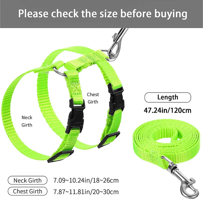 A bright lime green nylon pet harness and leash set with adjustable neck and chest girths.